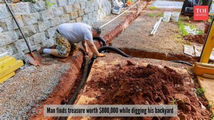 Digging Into His Net Worth And Beyond