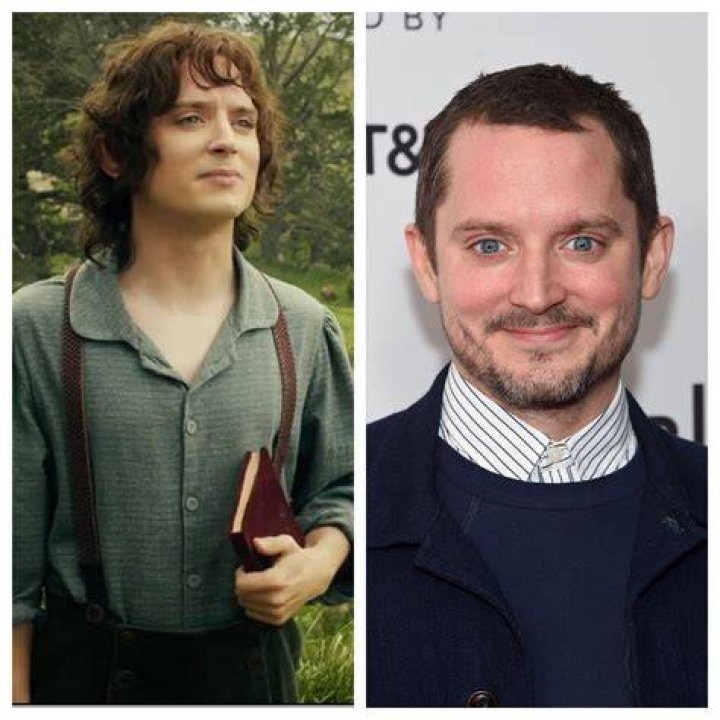 Elijah Wood Age, Bio, Birthday, Family, Net Worth National Today