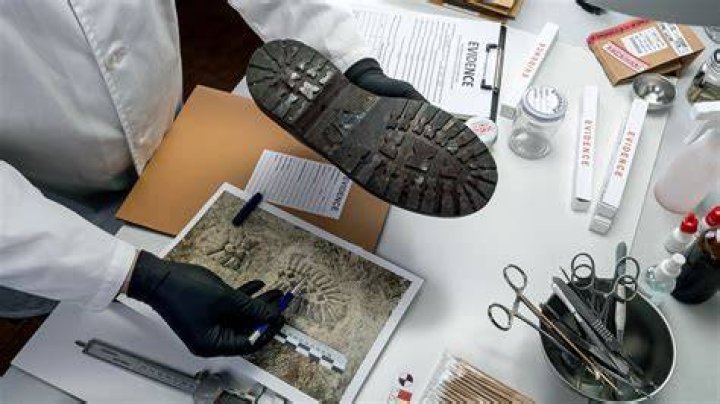 Forensics Class Makes Shoe Box Crime Scenes Eagle Eye News