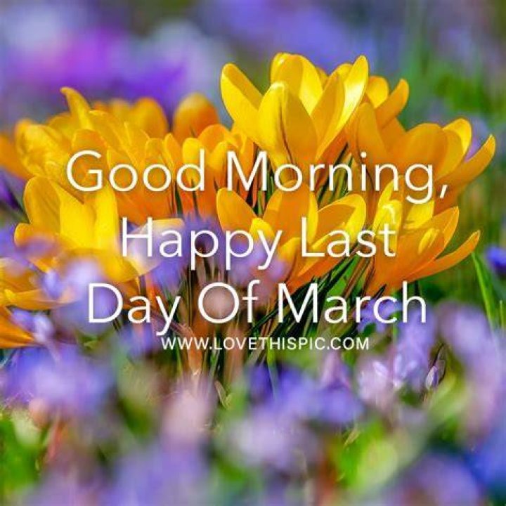 Good Morning Happy Last Day Of January! Pictures, Photos, and Images