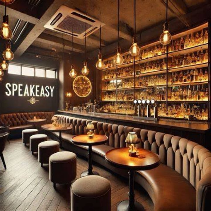 Image result for speakeasy bar Speakeasy bar, Still water, Speakeasy