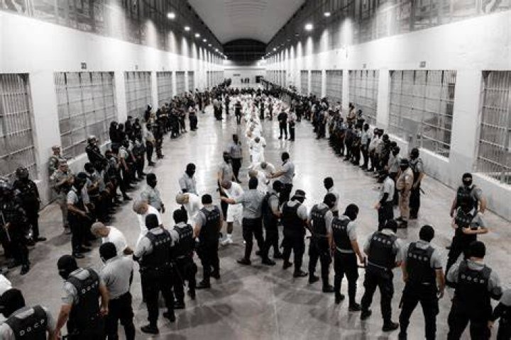 Jail for gang who kidnapped, stabbed and tortured a man over 'debt