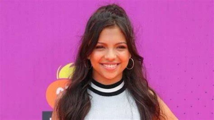 Jayce Cicchino Wiki & Bio Everipedia