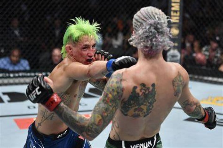 Kris Moutinho returns after Sean O’Malley battle, faces Aaron Phillips