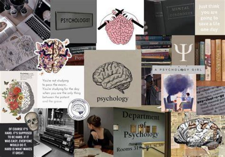 Pin on Psychologie