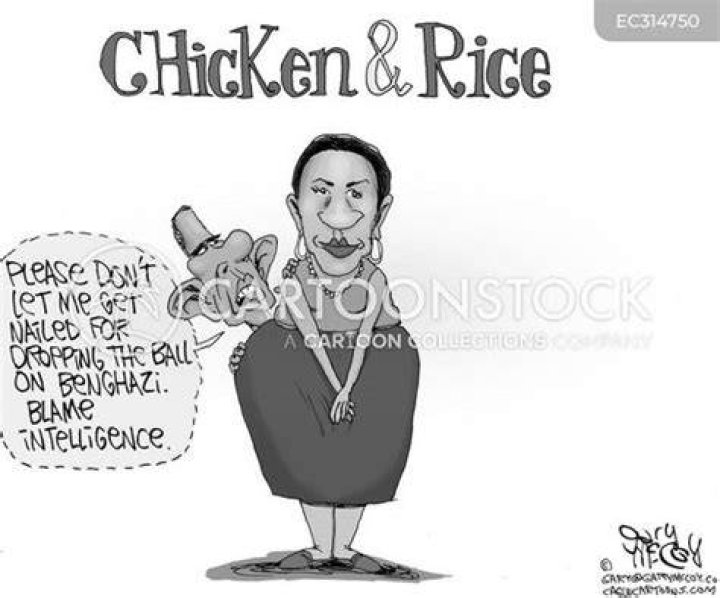 Political Cartoon U.S. Susan Rice Trump Unmasking Surveillance The Week