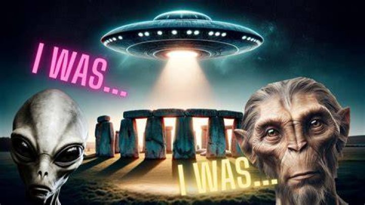 The Mystery of 7958844 Uncovering the Truth Behind the Numbers Stock