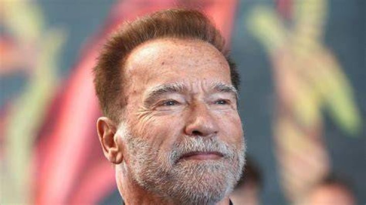 Wait, Arnold Schwarzenegger Has How Many Farm Animals? Architectural
