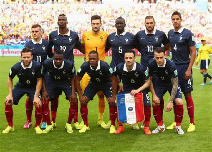 World Cup 2014 France profile Karim Benzema Bruno Rodrigues